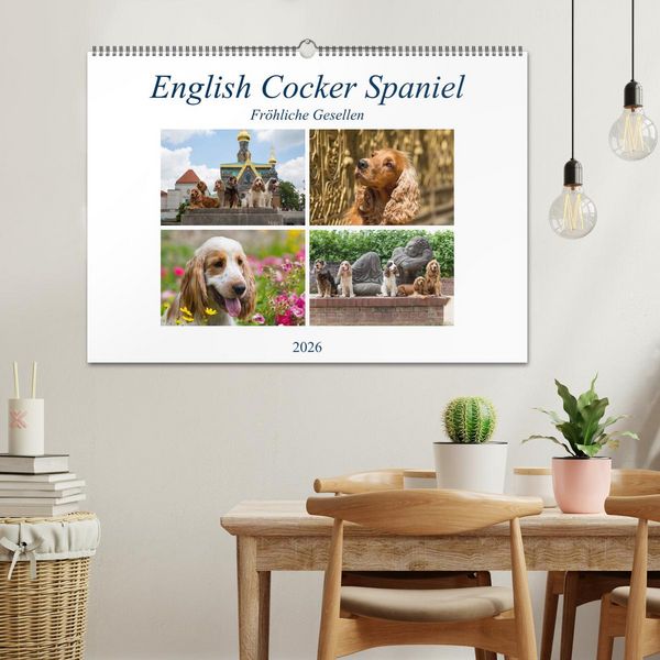 Produktbild: English Cocker Spaniel - Fr&ouml;hliche Gesellen (Wandkalender 2026 DIN A2 quer), CALVENDO Monatskalender