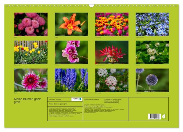 Produktbild: Kleine Blumen ganz gro&szlig; (Wandkalender 2026 DIN A2 quer), CALVENDO Monatskalender