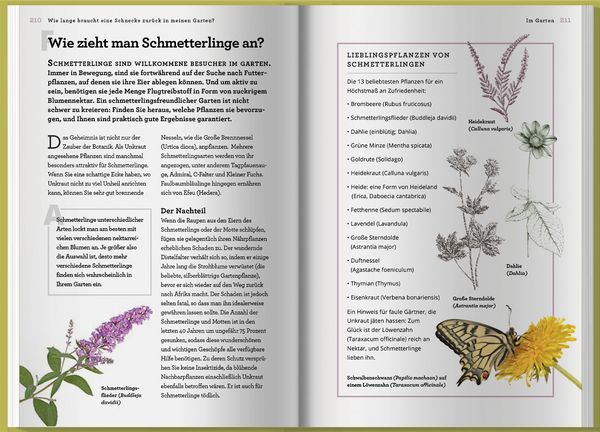 Produktbild: Wie lange braucht eine Schnecke zur&uuml;ck in meinen Garten?