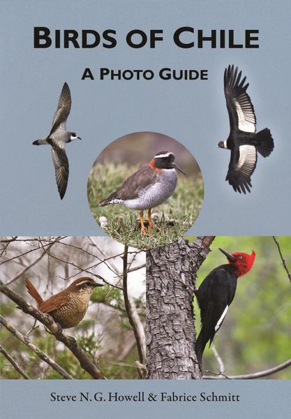 Produktbild: Birds of Chile