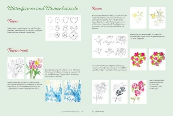 Produktbild: Linien malen – Zauberhafte Blumenpracht