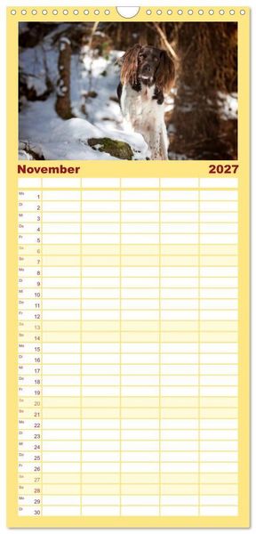 Produktbild: Familienplaner 2027 - Passion Jagdhund - Kleiner M&uuml;nsterl&auml;nder mit 5 Spalten (Wandkalender, 21 x 45 cm) CALVENDO
