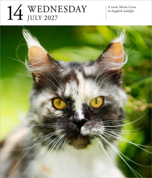 Produktbild: Cat Page-A-Day&reg; Gallery Calendar 2027
