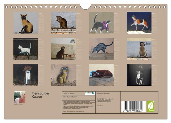 Produktbild: Flensburger Katzen (Wandkalender 2026 DIN A4 quer), CALVENDO Monatskalender