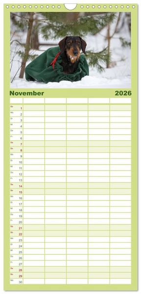 Produktbild: Familienplaner 2026 - DACKEL DACHSHUND TECKEL 2026 mit 5 Spalten (Wandkalender, 21 x 45 cm) CALVENDO