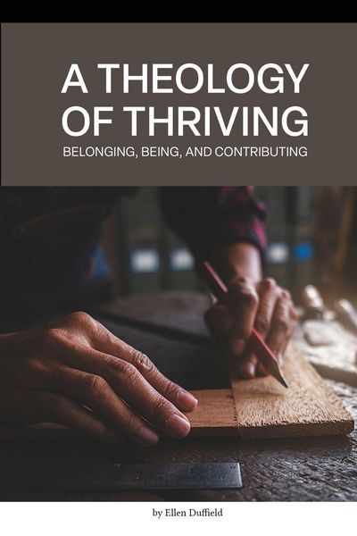 Produktbild: A Theology of Thriving