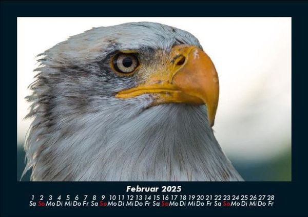 Produktbild: Adler 2025 Fotokalender DIN A5