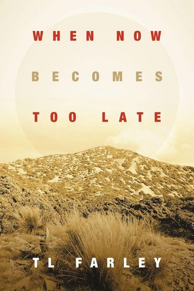 Produktbild: When Now Becomes Too Late