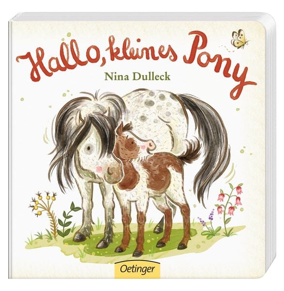 Produktbild: Hallo, kleines Pony