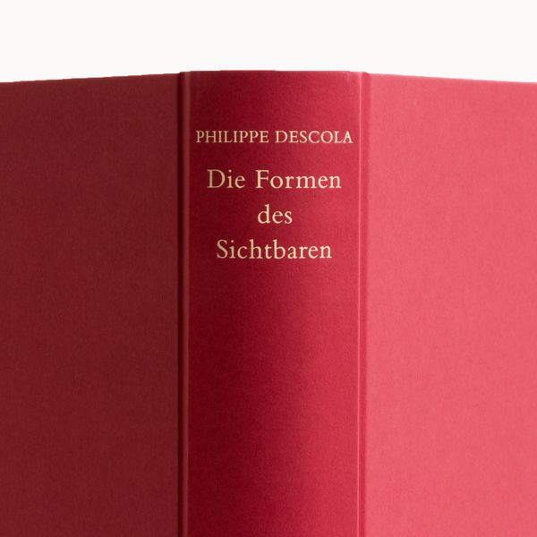 Produktbild: Die Formen des Sichtbaren
