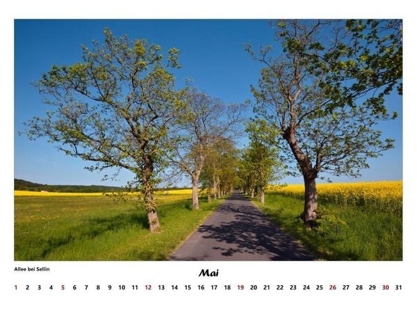 Produktbild: R&uuml;gen 2027