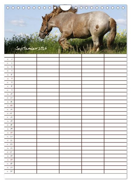 Produktbild: Der Kaltblut-Familienplaner (Wandkalender 2026 DIN A4 hoch), CALVENDO Monatskalender