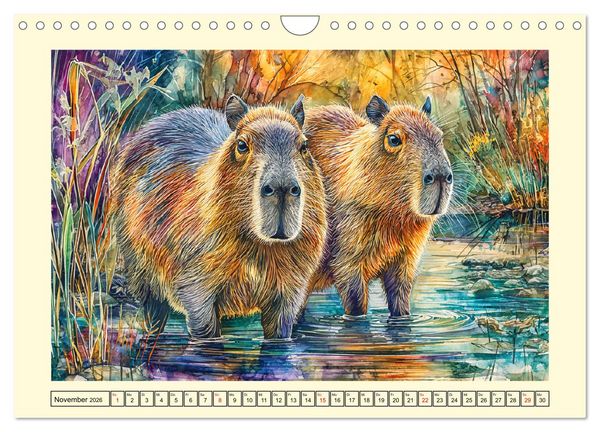 Produktbild: Wasserschweine. Bezaubernde Capybaras in der Natur (Wandkalender 2026 DIN A4 quer), CALVENDO Monatskalender