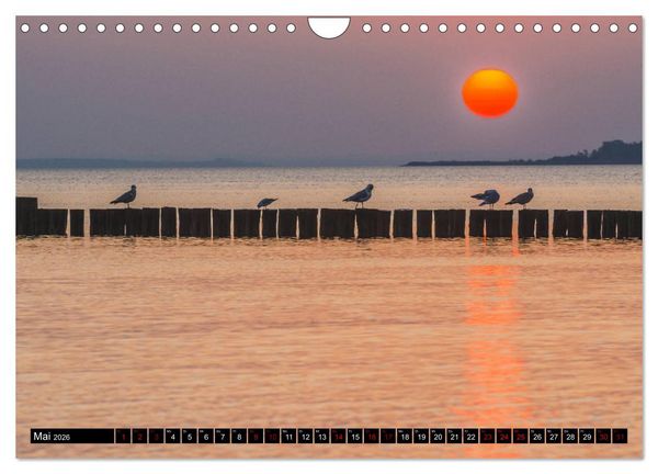 Produktbild: Ostsee - Boltenhagen (Wandkalender 2026 DIN A4 quer), CALVENDO Monatskalender