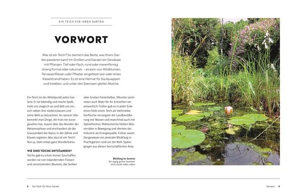Produktbild: Leben am Gartenteich