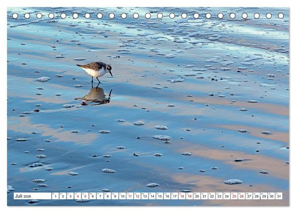 Produktbild: Wintertage auf Norderney (Tischkalender 2026 DIN A5 quer), CALVENDO Monatskalender