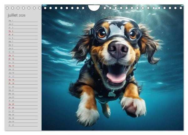 Produktbild: Chiens : les nageurs intr&eacute;pides (Calendrier mural 2026 DIN A4 vertical), CALVENDO calendrier mensuel