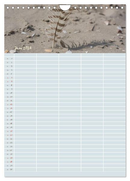 Produktbild: Kleine Sand-Sch&ouml;nheiten / Familienplaner (Wandkalender 2026 DIN A4 hoch), CALVENDO Monatskalender