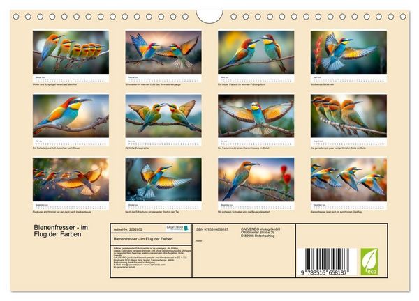 Produktbild: Bienenfresser - im Flug der Farben (Wandkalender 2026 DIN A4 quer), CALVENDO Monatskalender