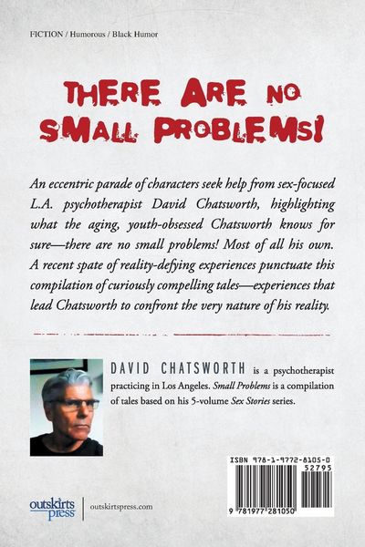Produktbild: Small Problems