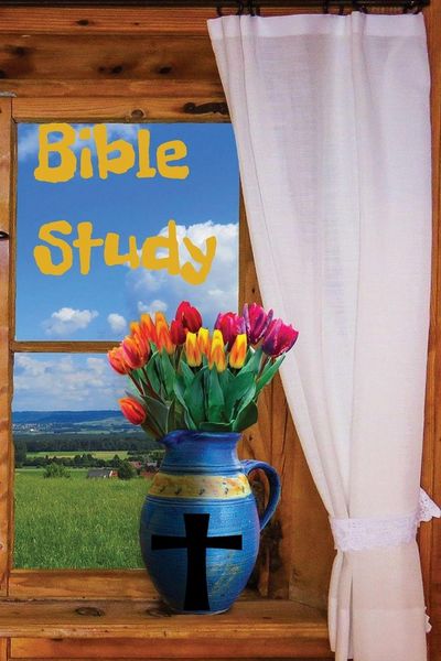 Produktbild: Bible Study Notes