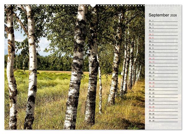 Produktbild: Litauen - Streifz&uuml;ge durch die junge Ostseerepublik (hochwertiger Premium Wandkalender 2026 DIN A2 quer), Kunstdruck in Hochglanz