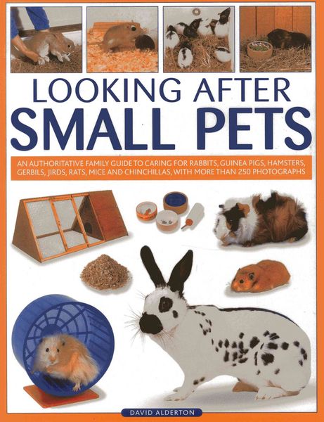 Produktbild: Alderton, D: Looking After Small Pets