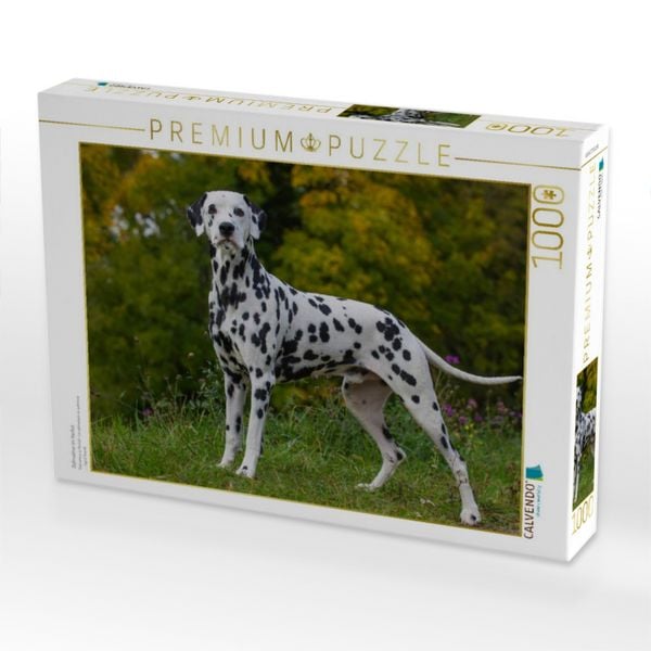Produktbild: CALVENDO Puzzle Dalmatiner im Herbst | 1000 Teile Lege-Gr&ouml;&szlig;e 64x48cm Foto-Puzzle f&uuml;r gl&uuml;ckliche Stunden