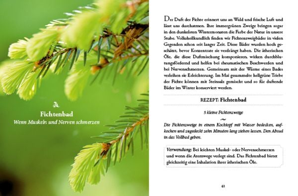 Das große kleine Buch: Vergessene Hausmittel