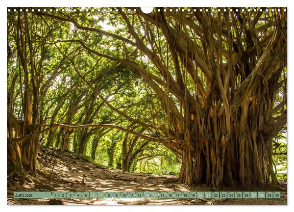 Produktbild: Big Island - Reise in eine unvergessliche Welt (Wandkalender 2026 DIN A3 quer), CALVENDO Monatskalender