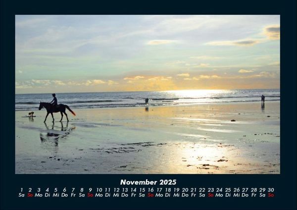 Produktbild: Die Welt der Pferde 2025 Fotokalender DIN A4