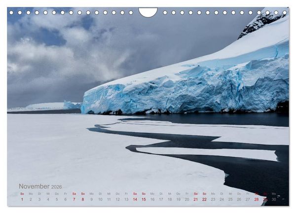 Produktbild: Antarktis, die eisige Heimat der Pinguine (Wandkalender 2026 DIN A4 quer), CALVENDO Monatskalender
