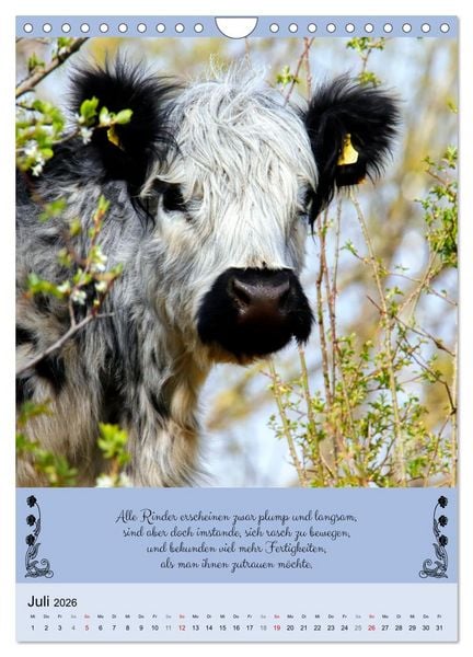 Produktbild: Buntes Tierleben (Wandkalender 2026 DIN A4 hoch), CALVENDO Monatskalender