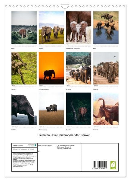 Produktbild: Elefanten - Die Herzeroberer der Tierwelt. (Wandkalender 2026 DIN A3 hoch), CALVENDO Monatskalender