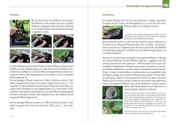 "Der SchildkrötenGärtner Naturnahe Ernährung Europäischer