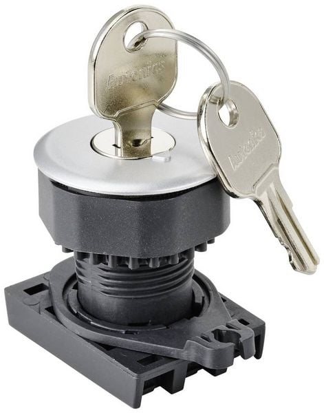 TRU COMPONENTS TC-10343992 S3KF-2DS Schlüsselschalter-Frontelement Schlüssel Silber 1 x 90 ° 1 St.