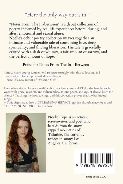 Produktbild: Notes From The In-between