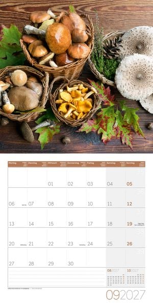 Produktbild: Food Kalender 2027 - 30x30 - Art12