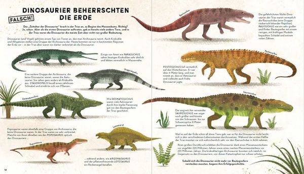 Produktbild: Alles, was wir &uuml;ber Dinosaurier wissen, ist falsch!