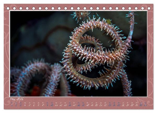 Produktbild: Unterwasser Kunstwerke (Tischkalender 2026 DIN A5 quer), CALVENDO Monatskalender