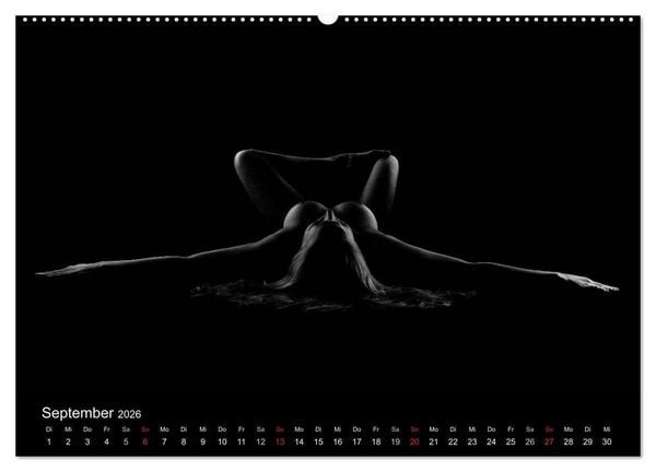 Produktbild: Kunstakt (Wandkalender 2026 DIN A2 quer), CALVENDO Monatskalender