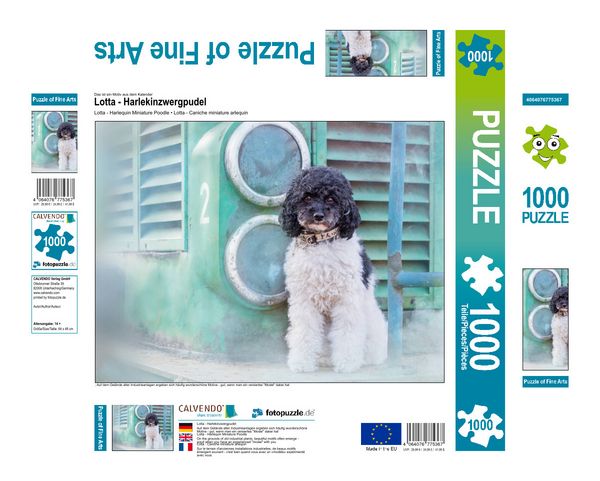 Produktbild: CALVENDO Puzzle Lotta - Harlekinzwergpudel 1000 Teile Lege-Gr&ouml;&szlig;e 640 x 480 cm Foto-Puzzle Bild von None www.boegau.de