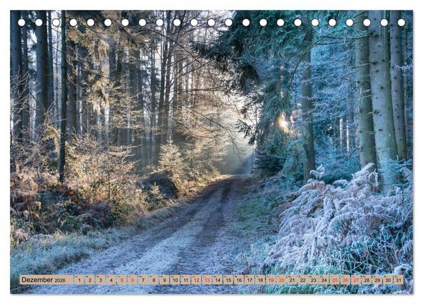Produktbild: Freiburg Regio (Tischkalender 2026 DIN A5 quer), CALVENDO Monatskalender