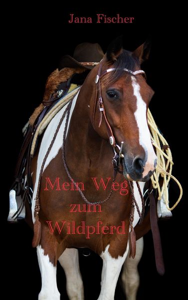 Produktbild: Mein Weg zum Wildpferd