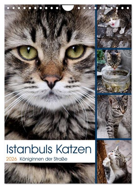 Produktbild: Istanbuls Katzen (Wandkalender 2026 DIN A4 hoch), CALVENDO Monatskalender