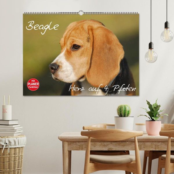 Produktbild: Beagle - Herz auf 4 Pfoten (Wandkalender 2026 DIN A2 quer), CALVENDO Monatskalender