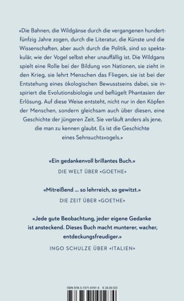 Produktbild: Rauschen in der Nacht