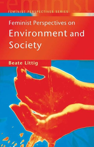 Produktbild: Feminist Perspectives on Environment and Society