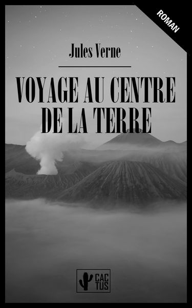 Produktbild: Voyage au centre de la Terre
