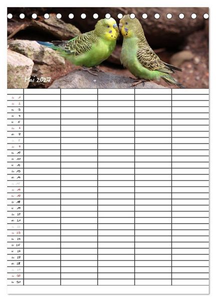 Produktbild: Wellensittiche (Tischkalender 2027 DIN A5 hoch), CALVENDO Monatskalender